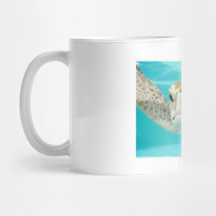 Sea Turtle Face Mug